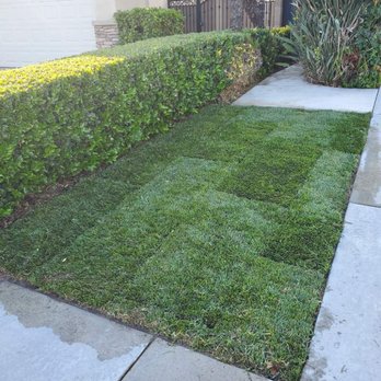 TPS Landscaping - After Picture #1 - Landscaping Near Me TPS Landscaping - After Picture #1 - Landscaping Near Me