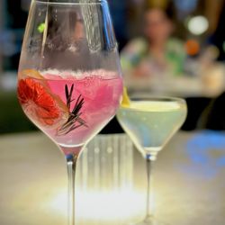 Chromosat & Tonic, Winter Garden Martini - okay