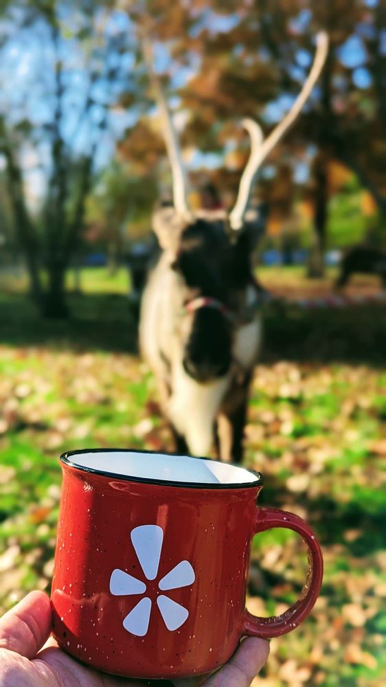 Shortsville Reindeer Farm