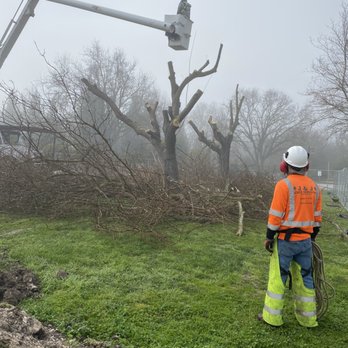 J & J Tree Services - Tree Services Near Me J & J Tree Services - Tree Services Near Me