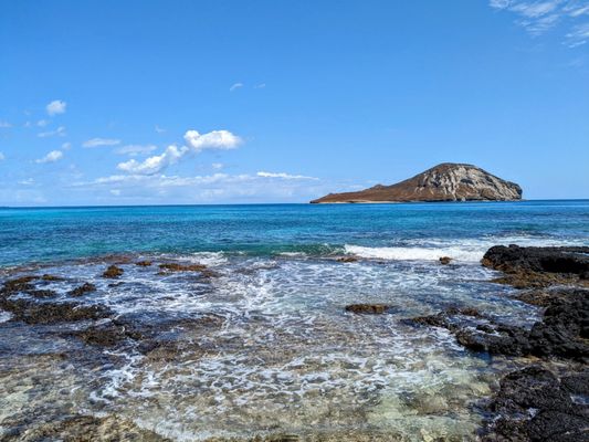 Makapuu Beach Park by null
