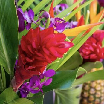 Wholesale-Tropical-Flowers.Com - King Ginger, orchid stems, tropical le fleur heliconia, Ginger leaves, Areca Palms, monstera leaves - Shipping Centers Near Me - Keaau, Hawaii Wholesale-Tropical-Flowers.Com - King Ginger, orchid stems, tropical le fleur heliconia, Ginger leaves, Areca Palms, monstera leaves - Shipping Centers Near Me - Keaau, Hawaii