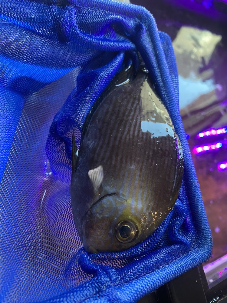 BIG AL’S WHITBY Updated March 2024 1916 Dundas St. E., Whitby, Ontario, Canada Pet Stores