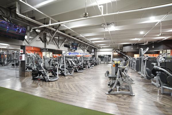 Onelife Fitness - McLean by null