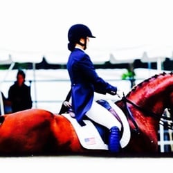 Dagge Dressage