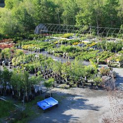 Atlantic Gardens Florist