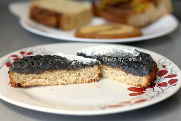 Year of the Snake by null