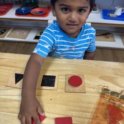 Prodigy Montessori - Cypress
