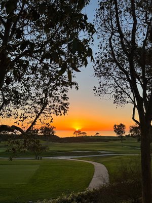Torrey Pines Golf Course by null