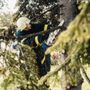 Prime Tree Services