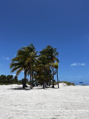 Crandon Park by null