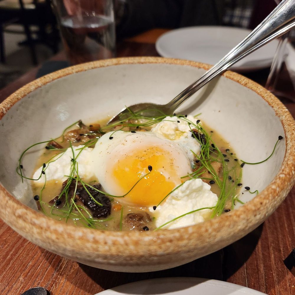 Foraged. A Hyper Seasonal Eatery - Mushroom stew - New American Near Me - Baltimore, Maryland Foraged. A Hyper Seasonal Eatery - Mushroom stew - New American Near Me - Baltimore, Maryland