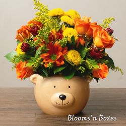 Blooms 'n Boxes