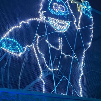 Zoolights - Awww, the Bumble! - Zoos Near Me - Phoenix, Arizona