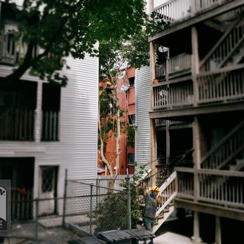 Northern Boston Tree Service - Tree Services Near Me Northern Boston Tree Service - Tree Services Near Me