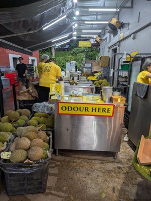 99 Old Trees Durian by null