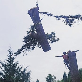 North Star Climbing - Tree Services Near Me - Landrum, South Carolina North Star Climbing - Tree Services Near Me - Landrum, South Carolina