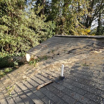 Atlanta Tree Movers - Tree Services Near Me - Norcross, Georgia Atlanta Tree Movers - Tree Services Near Me - Norcross, Georgia