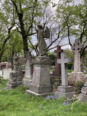 Brompton Cemetery by null