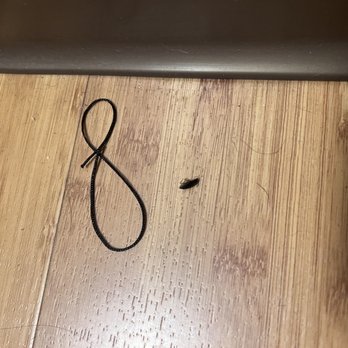 Palm Beach Tan - Big and trash on the floor - Skin Care Near Me - Ft. Worth, Texas Palm Beach Tan - Big and trash on the floor - Skin Care Near Me - Ft. Worth, Texas