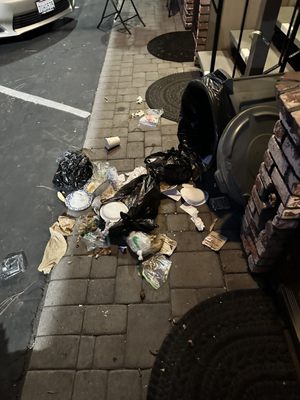 Stardust Lodge by null