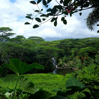 Himalayan Academy / Kauai's Hindu Monastery - Incredible view - Landmarks & Historical Buildings Near Me - Kapaa, Hawaii