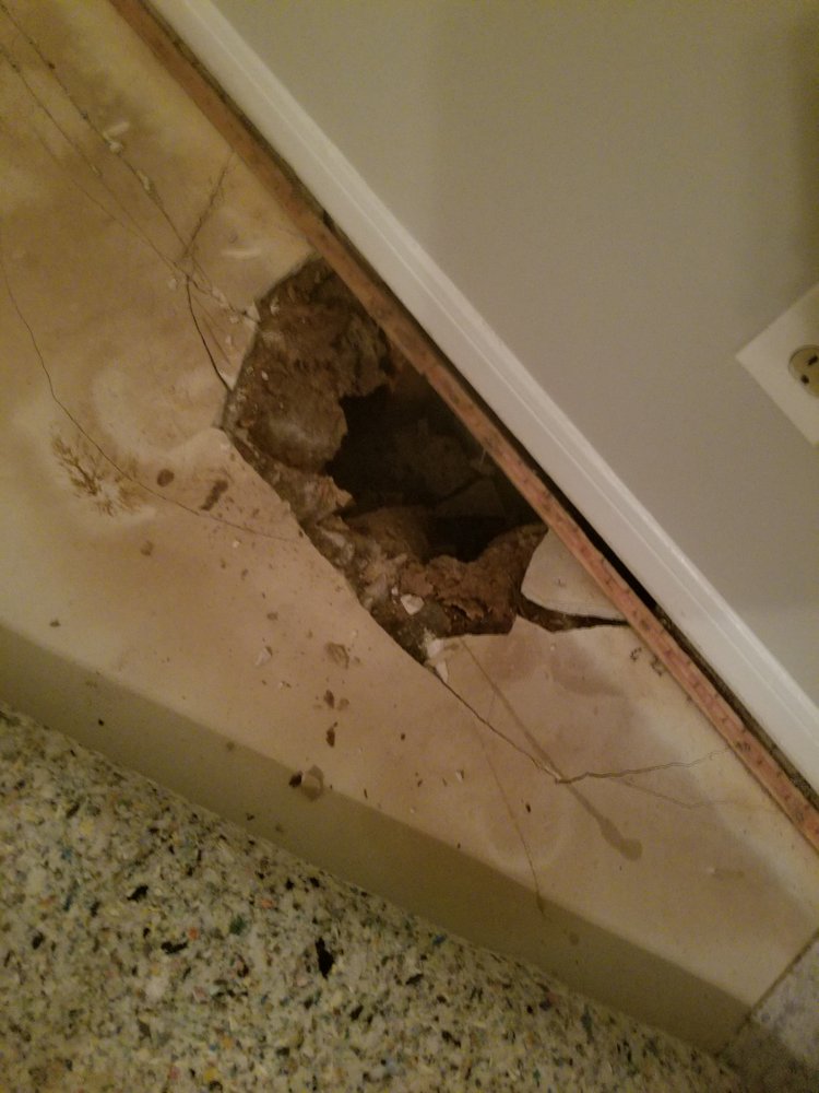 WELLINGTON MANOR APARTMENTS Updated August 2024 1500 Windsor Ct, Alabaster, Alabama