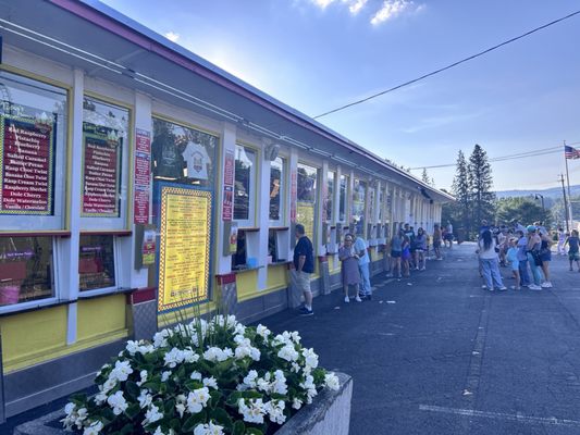 Martha's Dandee Creme by null