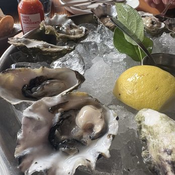 Half Shell - Bars Near Me - Seattle, Washington Half Shell - Bars Near Me - Seattle, Washington