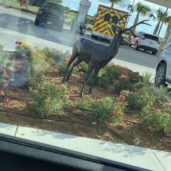 Shell - Deer statue, there is one on each side of the parking spaces at the front entrance.
