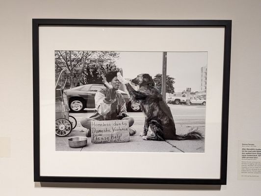 Asheville Art Museum by null