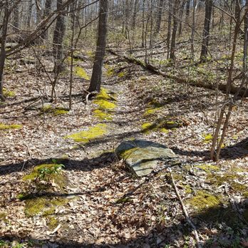 Archbald Pothole State Park - Walking trail? - Parks Near Me - Archbald, Pennsylvania