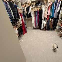 Woodland Carpet One - One of the Master walk in closets -- our cat enjoying the new carpet hah!