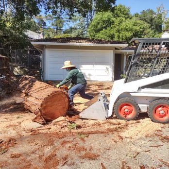 CBC Tree Services Inc - Redwood Tree Removal - Tree Services Near Me