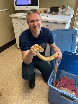 evergreen avian and exotic