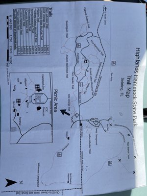 Highlands Hammock State Park by null