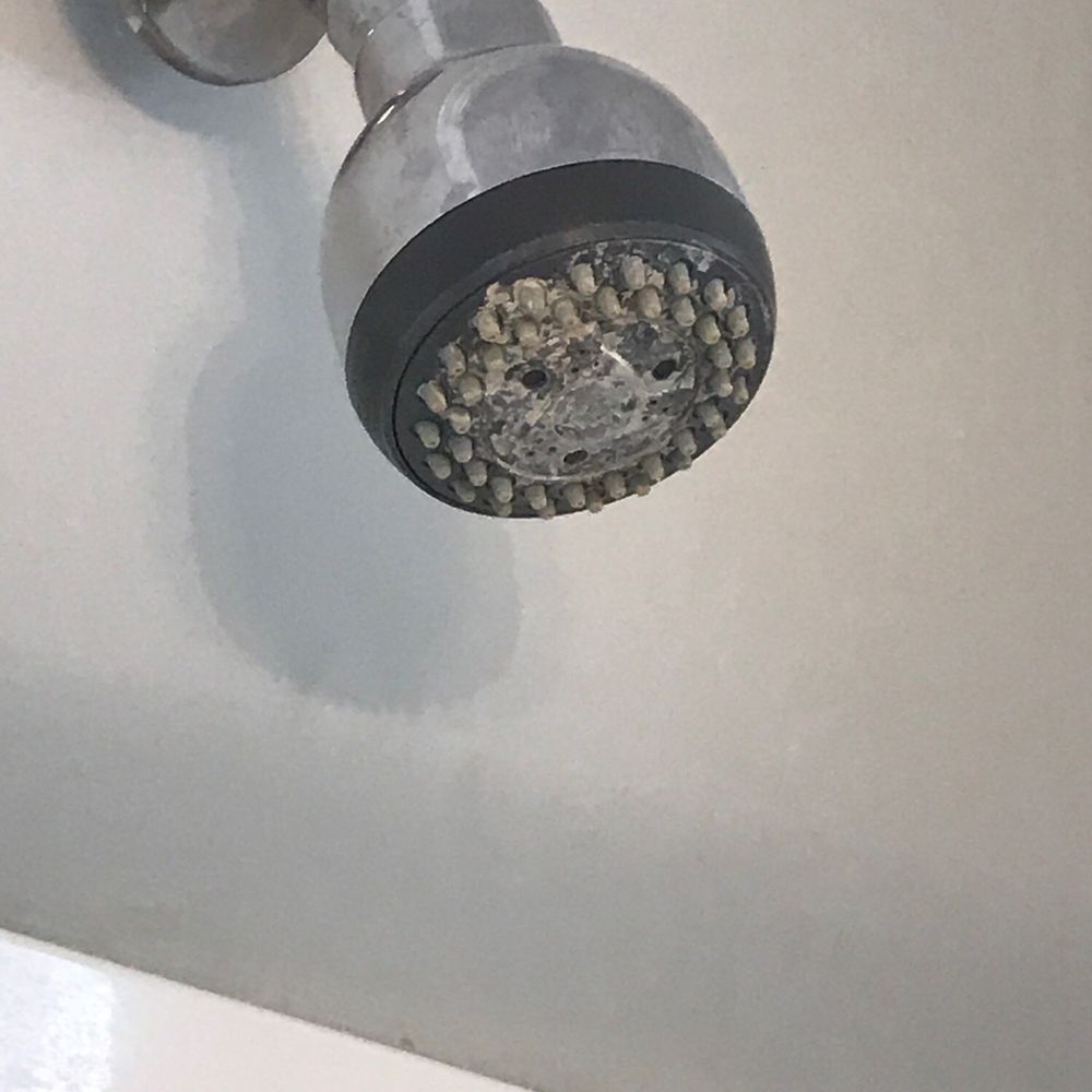 Carolina Beach Realty - Shower head - Vacation Rentals Near Me - Carolina Beach, North Carolina Carolina Beach Realty - Shower head - Vacation Rentals Near Me - Carolina Beach, North Carolina