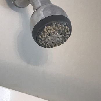 Carolina Beach Realty - Shower head - Vacation Rentals Near Me - Carolina Beach, North Carolina Carolina Beach Realty - Shower head - Vacation Rentals Near Me - Carolina Beach, North Carolina