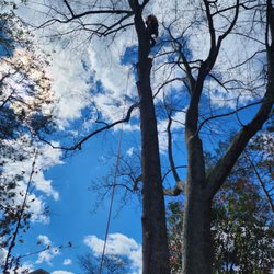 Your Way Lawn & Tree Service