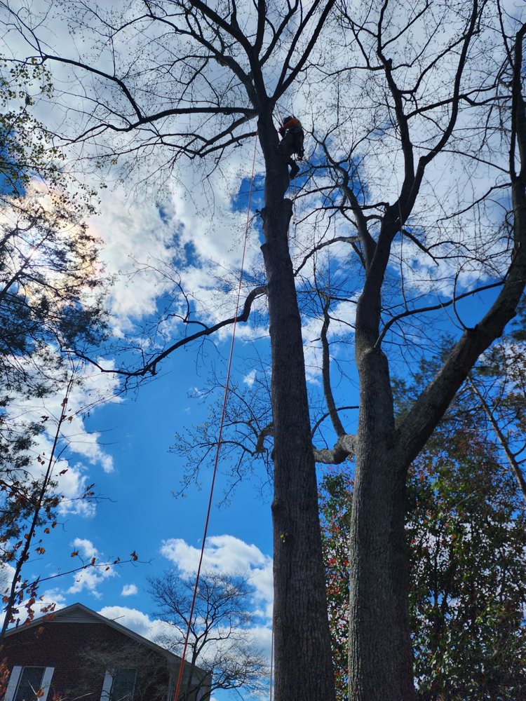 Your Way Lawn & Tree Service - tree service in Greensboro, NC