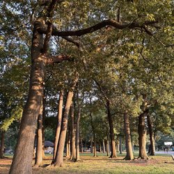 Lafayette Park