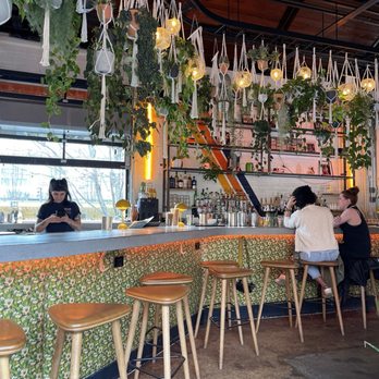 Muchacho - Tacos Near Me - Atlanta, Georgia Muchacho - Tacos Near Me - Atlanta, Georgia