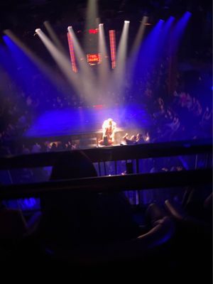 Magic Mike Live by null