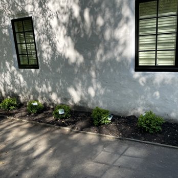 Mendez Painting - Garden - Painters Near Me - Wilmington , Delaware Mendez Painting - Garden - Painters Near Me - Wilmington , Delaware