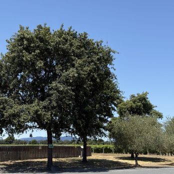 Balletto Vineyards - Wineries Near Me - Santa Rosa, California Balletto Vineyards - Wineries Near Me - Santa Rosa, California