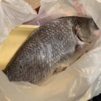 Asia Super Market - Fish - International Grocery Near Me - Windcrest, Texas Asia Super Market - Fish - International Grocery Near Me - Windcrest, Texas