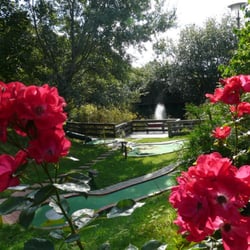 Minigolfanlage Koserow - Minigolfanlage Koserow