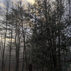 Our view