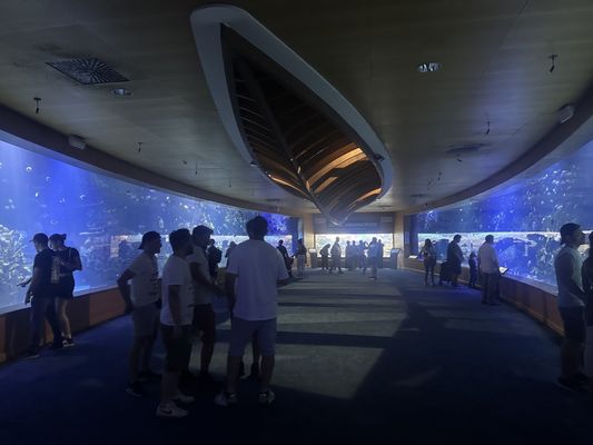 Oceanogràfic València by null