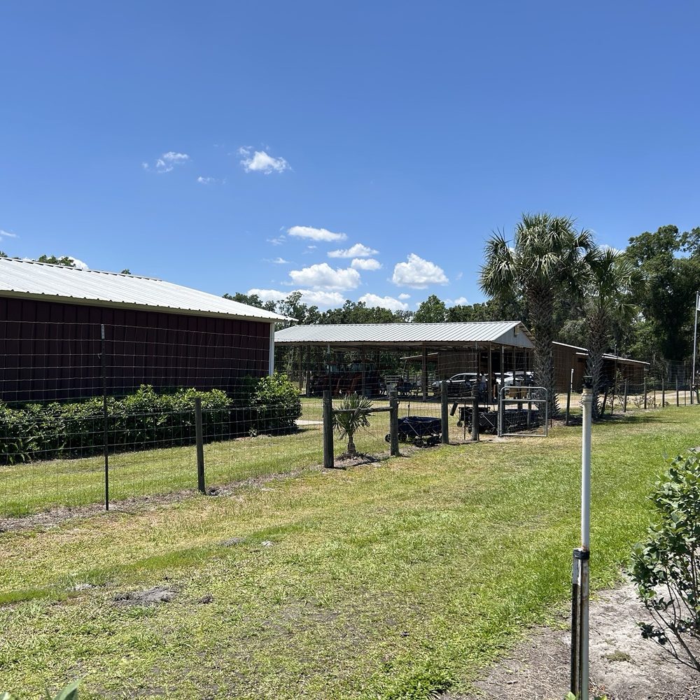 Lyna Berry Farm